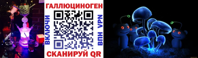 Купить закладки  Нижняя Салда  Псилоцибиновые грибы мицелий 